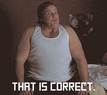Discover and Share the best GIFs on Tenor. . Chris farley that is correct gif